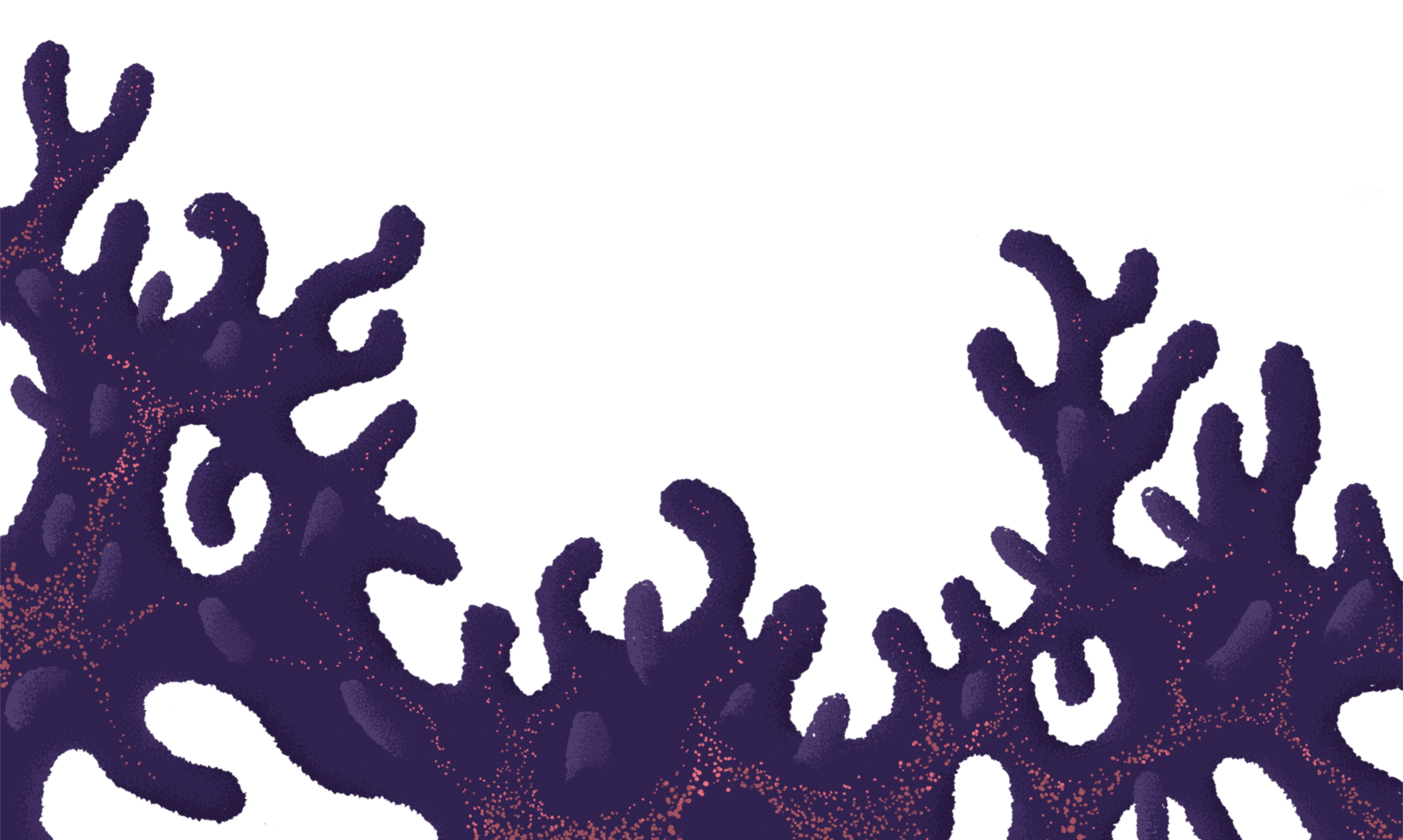 Décoration corail bas